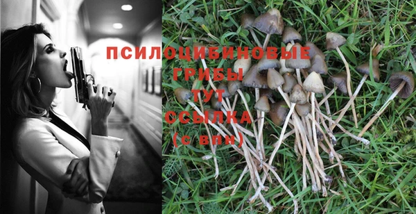 синтетический гашиш Арсеньев